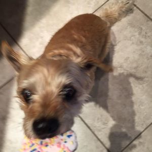 Meet your Posher, Susan